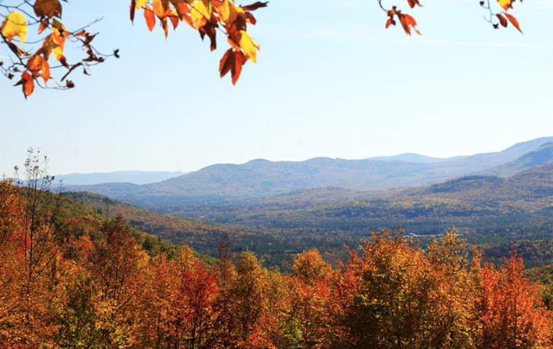 White Mountain